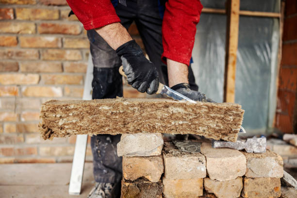 Best Insulation Contractor Near Me  in Olivet, NJ