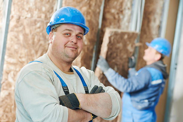 Best Insulation Replacement Services  in Olivet, NJ